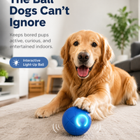 Smart Interactive Dog Ball Toy