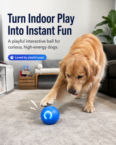 Smart Interactive Dog Ball Toy