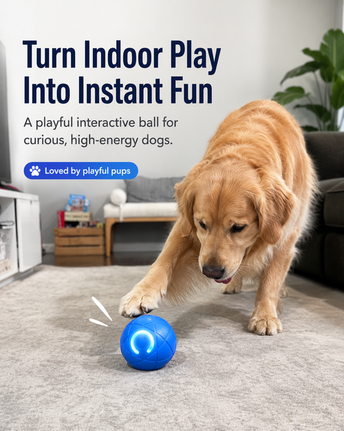 Smart Interactive Dog Ball Toy