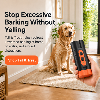 Anti-Bark Training Device