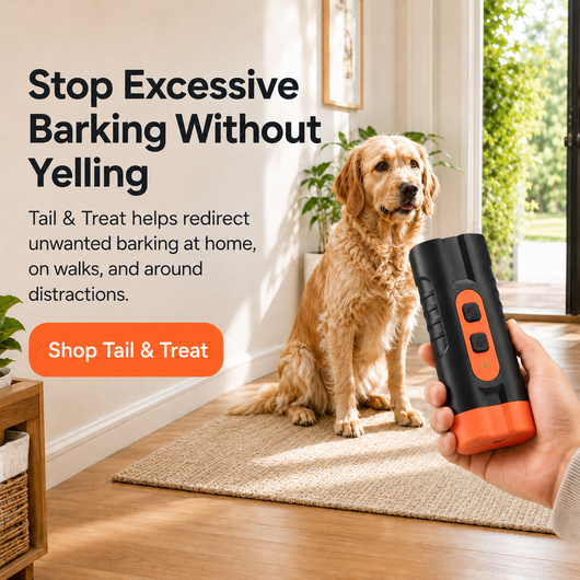 Anti-Bark Training Device