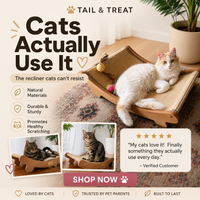 Finally — A Scratcher Your Cat Chooses Over Your Couch