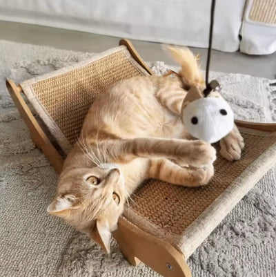 Finally — A Scratcher Your Cat Chooses Over Your Couch
