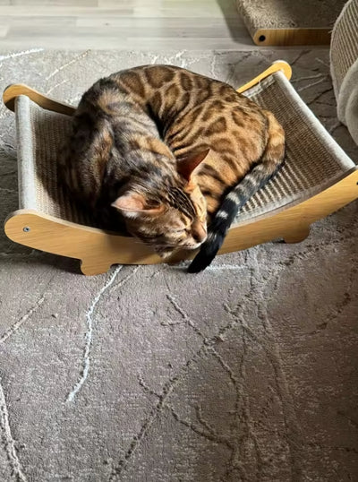 Finally — A Scratcher Your Cat Chooses Over Your Couch